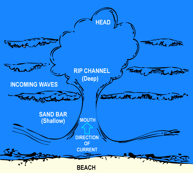 How to Identify a Rip Diagram