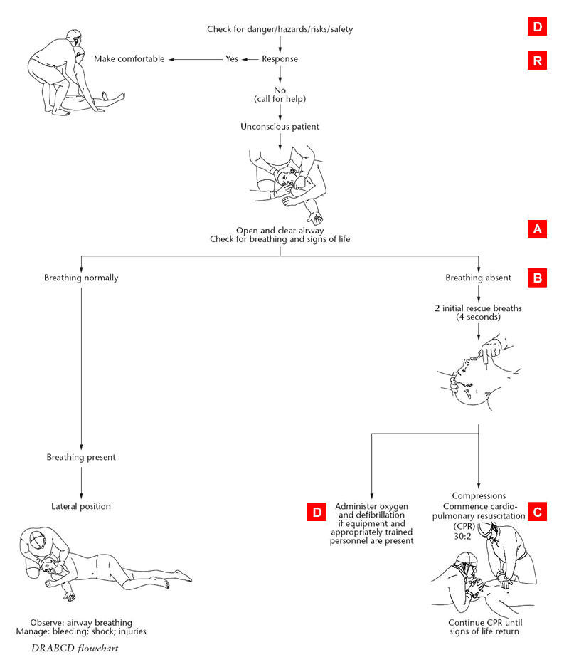 Resuscitation Flow Chart