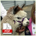 Alpaca Industry Factsheet Thumbnail