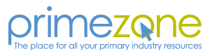 Primezone Logo logo