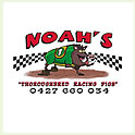 Noah's Thoroughbred Pigs thumbnail