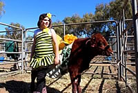 Cattle Fancy Dress