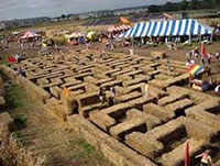 Hay Bale Maze