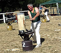 Woodchopping Main Thumbnail