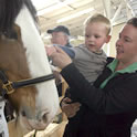 Child Pats Horse Thumbnail