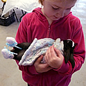 Girl Holding Rabbit Thumbnail