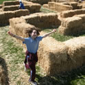 Hay Maze Thumbnail